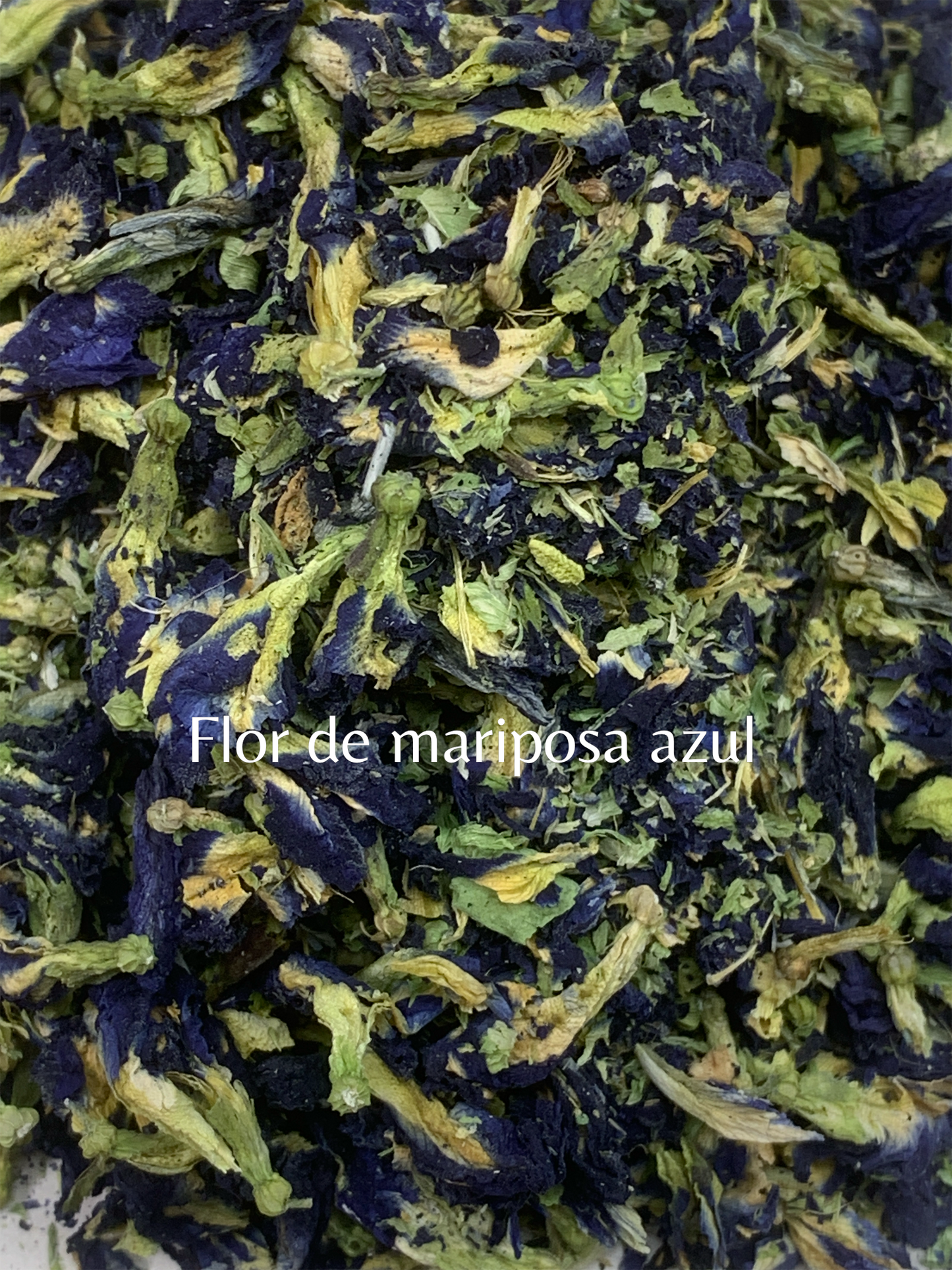 FLOR DE MARIPOSA AZUL | Infusión de hierbas | Flor Clitoria ternatea